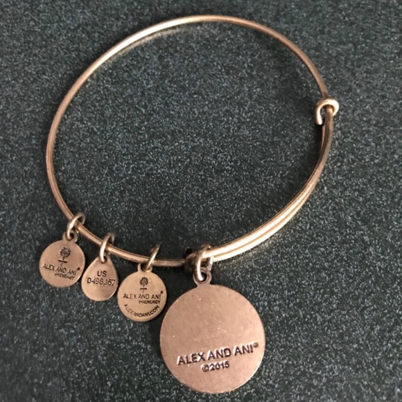 Alex and Ani Expandable Wire Bangle Bracelet 2015 - Picture 5 of 13